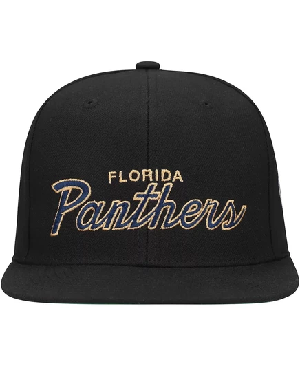 Мужская кепка Mitchell & Ness Florida Panthers, черная