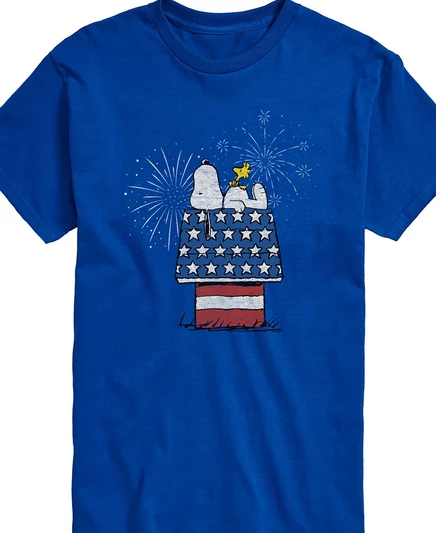 Футболка с коротким рукавом AIRWAVES мужская Peanuts Snoopy Flag House Fireworks blue