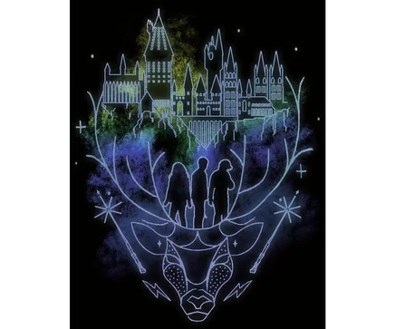 Мужская футболка Harry Potter's Hogwarts Patronus Line Art черная-Средний цвет black