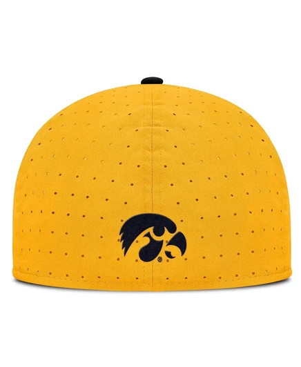 Мужская кепка Nike On-Field Iowa Hawkeyes, золотая