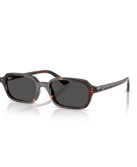 Унисекс солнцезащитные очки Ray-Ban Zuri RB4455, коричневые