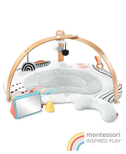 Скип-хоп Discoverosity Play Gym multi