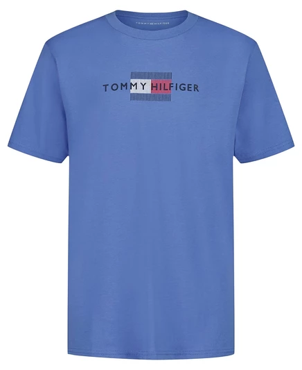 Футболка для мальчиков Tommy Hilfiger Linear Flag, синяя