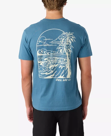  Мужские футболки с графическим рисунком Vista teal