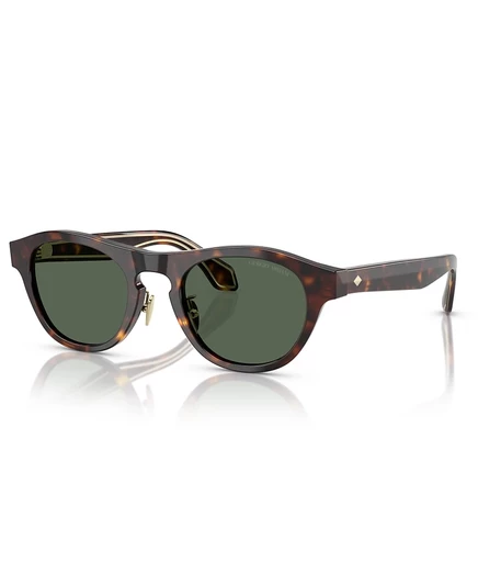 Мужские солнечные очки Giorgio Armani AR8225, разноцветные