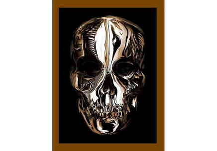 Книга Alexander McQueen: Savage Beauty, Andrew Bolton