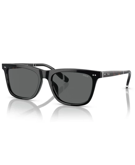 Мужские солнцезащитные очки PH4205U shiny black