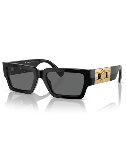 Унисекс солнцезащитные очки Versace VE4459, черные