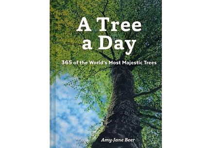 Книга Barnes & Noble Дерево на каждый день — 365 деревьев