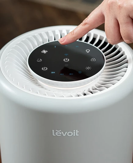 Очиститель воздуха LEVOIT Core 200S-P LAP-C201S-AUSR, серый