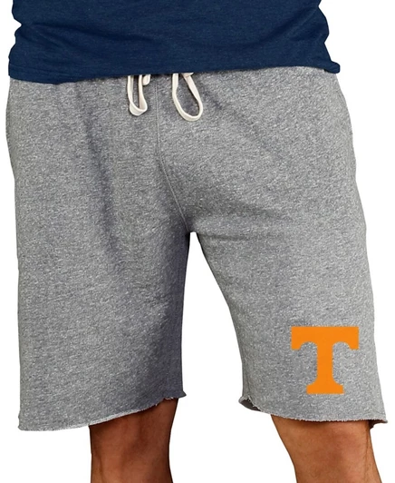 Мужские шорты Concepts Sport Mainstream Terry Tennessee, серые