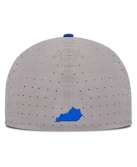 Мужская серая приталенная шляпа Nike Kentucky Wildcats On-Field Dugout True Performance от Nike gray