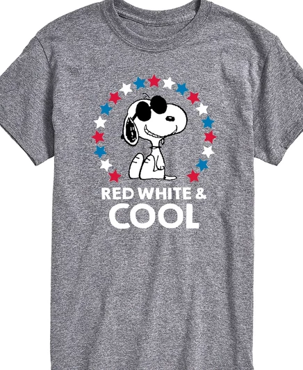 Мужская футболка с коротким рукавом AIRWAVES Peanuts Snoopy Flag Fireworks gray