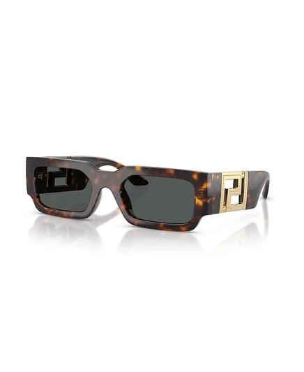 Мужские прямоугольные солнцезащитные очки Versace, VE4506U коричневого цвета