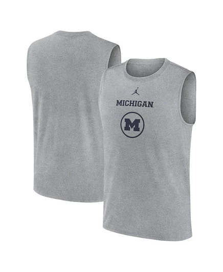 Мужская безрукавка Jordan Michigan Wolverines, серая