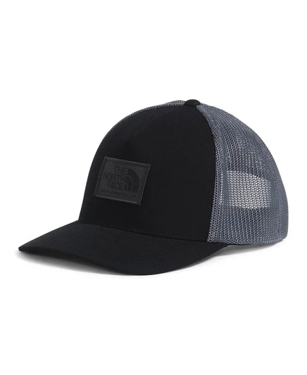  Мужская кепка The North Face black, asphalt gray
