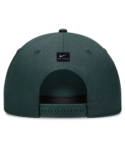 Унисекс кепка Nike Michigan State Spartans Sideline 2024, зеленая