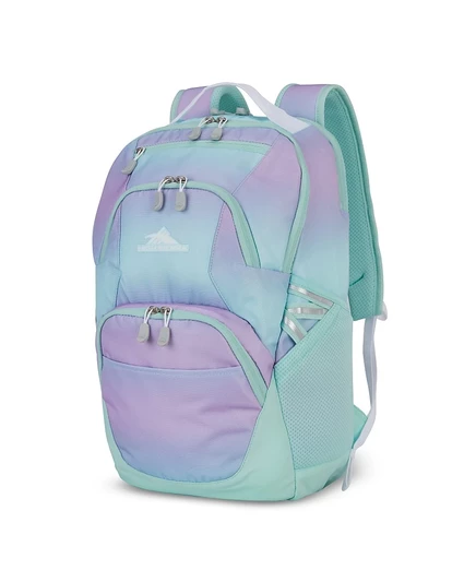 Рюкзак High Sierra Swoop SG 19″ для ноутбука 17″, многоцветный