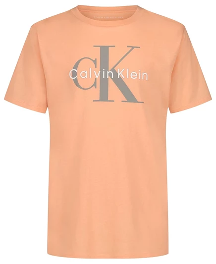 Мальчиковая футболка calvin klein monologo, оранжевая