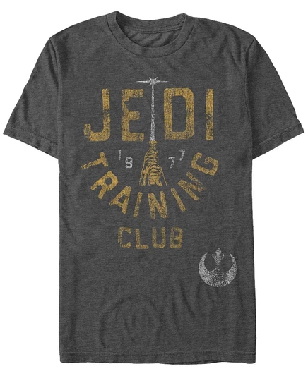 Мужская футболка Fifth Sun Star Wars Jedi Training, серая