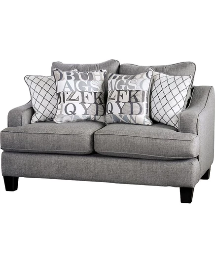 Двухместный диван Furniture of America Canzey, серый