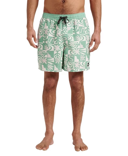 Мужские плавательные шорты Quiksilver Everyday Volley Terra 17″, зеленые
