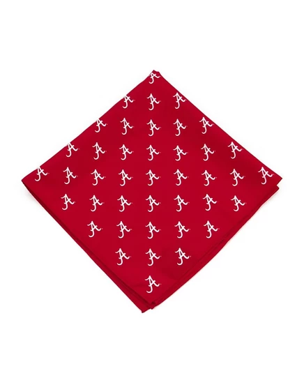 Платок с принтом Eagles Wings red