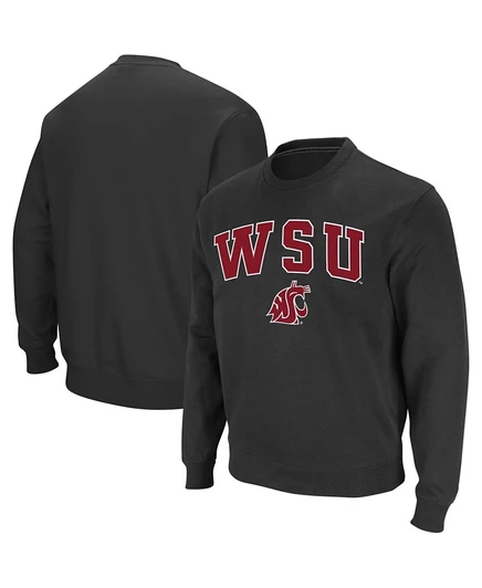 Мужская толстовка Colosseum с аркой и логотипом Washington State Cougars с круглым вырезом горловины gray