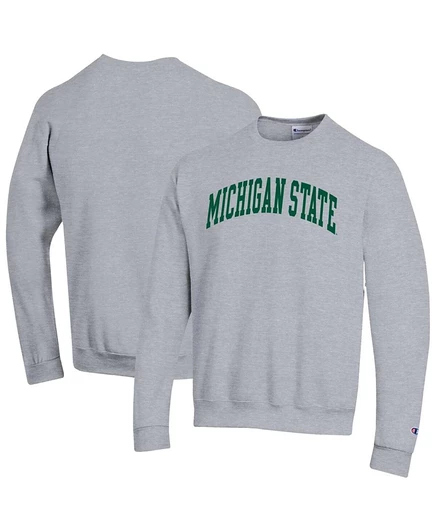 Мужская флисовая толстовка Champion Michigan State Spartans, серая