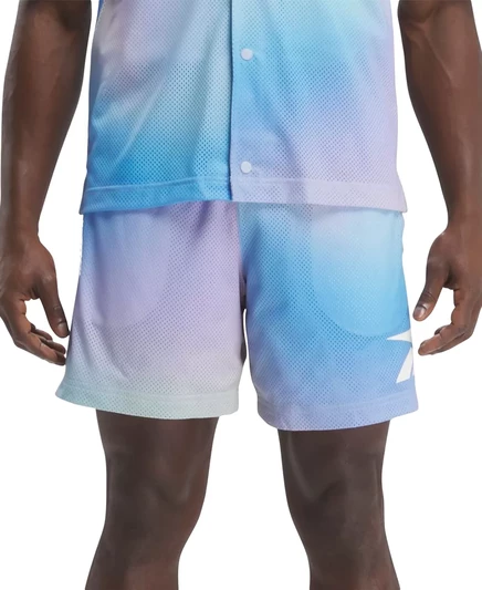  Мужские классические сетчатые шорты с принтом Dopamine Regular-Fit blue multi