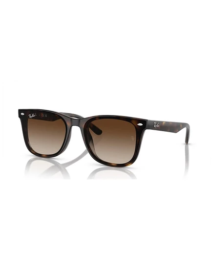 Унисекс солнцезащитные очки Ray-Ban RB4420 градиентные, коричневые