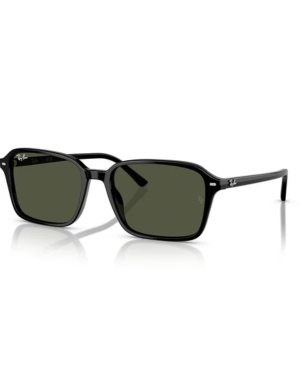 Унисекс солнцезащитные очки Ray-Ban Raimond RB2231, черные