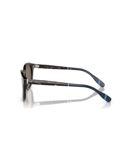 Мужские солнцезащитные очки Polo Ralph Lauren PH4206 shiny dark havana