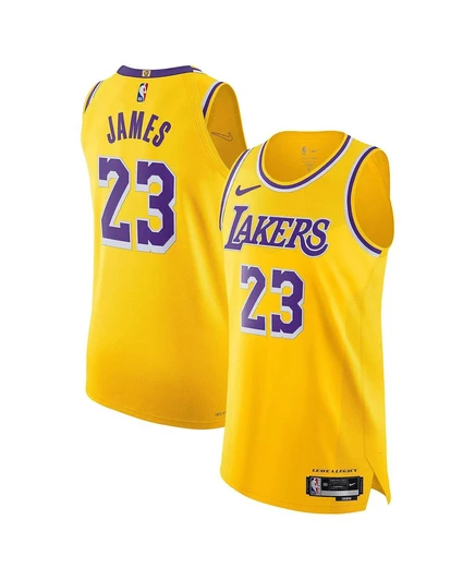 Мужская игровая майка Nike LeBron James Lakers Icon, золотая