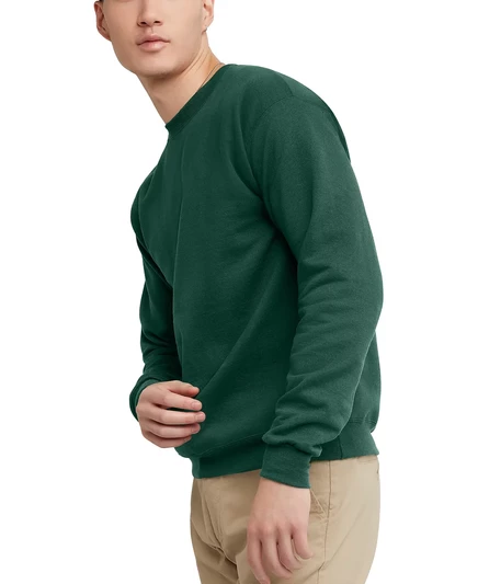 Мужская флисовая толстовка Hanes EcoSmart, 2 упаковки green