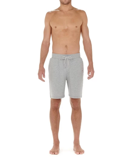 Мужские спортивные шорты для отдыха Sport Lounge grey melange