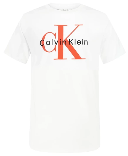 Футболка для мальчиков calvin klein Monologo, белая