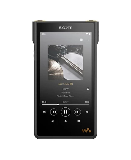 Плеер Sony NW-WM1AM2 128 ГБ, черный