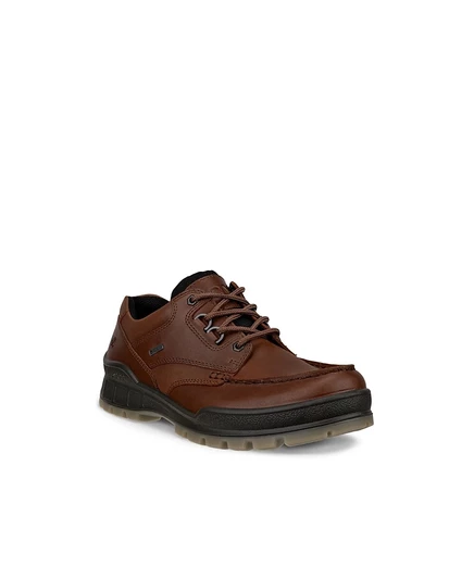 Мужские кроссовки Ecco Track 25 Low GORE-TEX, коричневые