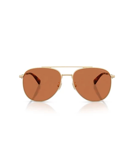 Мужские солнцезащитные очки Coach Pilot, CDP40 HC7190 gold