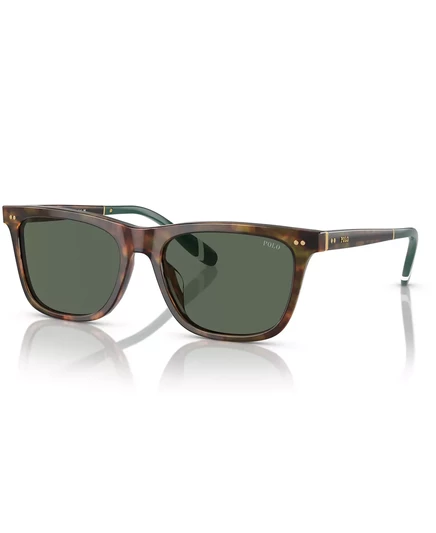  Мужские солнцезащитные очки, PH4205U shiny brown tortoise