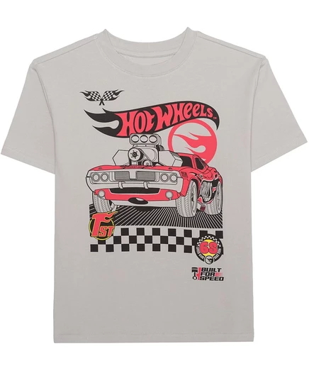 Футболка для мальчиков Hot Wheels Legends Tour, серая