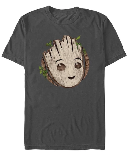 Мужская футболка Fifth Sun Marvel I am Groot, серая