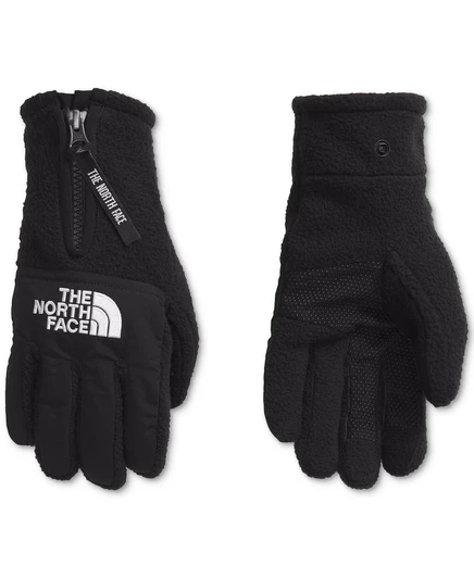 Мужские перчатки The North Face Denali E-Tip, черные
