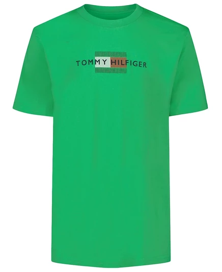 Мальчиковая футболка Tommy Hilfiger Linear Flag, зеленая