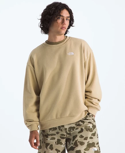 Мужской свитшот The North Face Evolution Simple Dome, бежевый