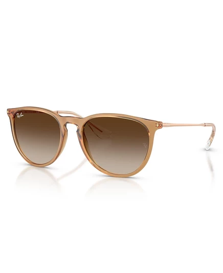 Женские солнцезащитные очки Ray-Ban Erika Classic, RB4171 коричнево-бежевый