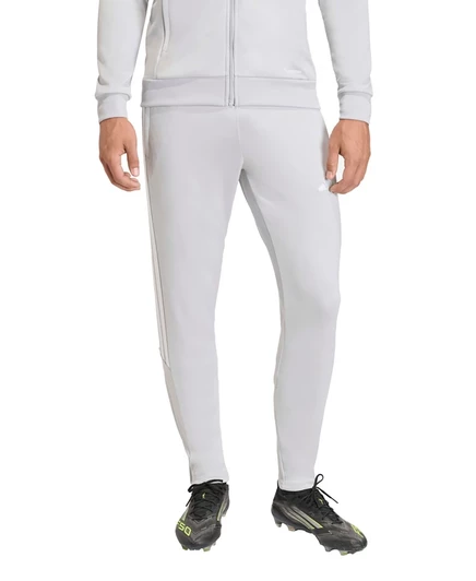 Мужские спортивные штаны Adidas Tiro 26, серые
