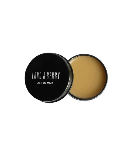 Многофункциональная мазь Lord & Berry All in One