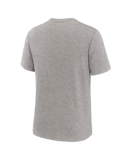 Мужская футболка Nike Heather Grey Michigan State Spartans Legacy Local Tri-Blend от Nike heather gray